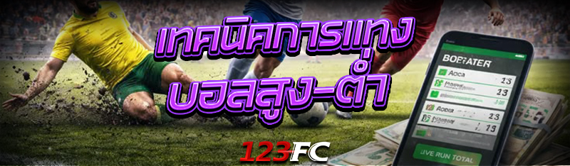 เทคนิคการ แทงบอลสูง-ต่ำ